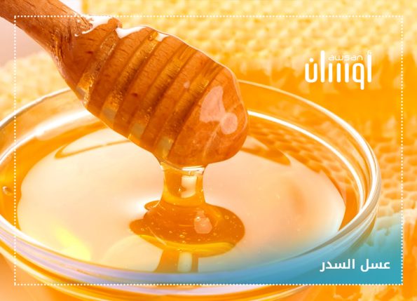 فوائد عسل السدر للرجال